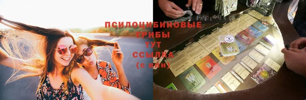 ГАЛЛЮЦИНОГЕННЫЕ ГРИБЫ Белокуриха