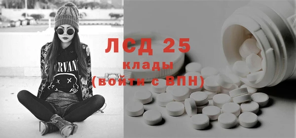 ГАЛЛЮЦИНОГЕННЫЕ ГРИБЫ Белокуриха