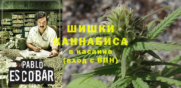 ГАЛЛЮЦИНОГЕННЫЕ ГРИБЫ Белокуриха