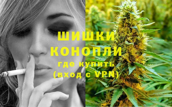 ГАЛЛЮЦИНОГЕННЫЕ ГРИБЫ Белокуриха