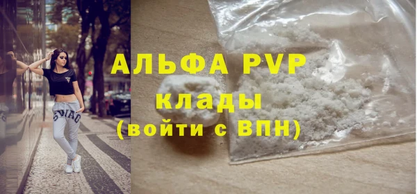 ГАЛЛЮЦИНОГЕННЫЕ ГРИБЫ Белокуриха