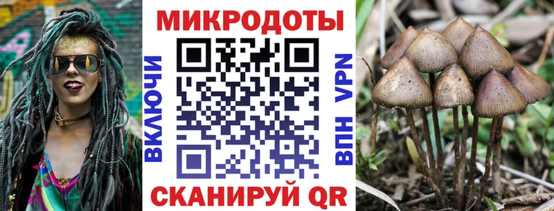 Купить  Магас  Галлюциногенные грибы мухоморы 